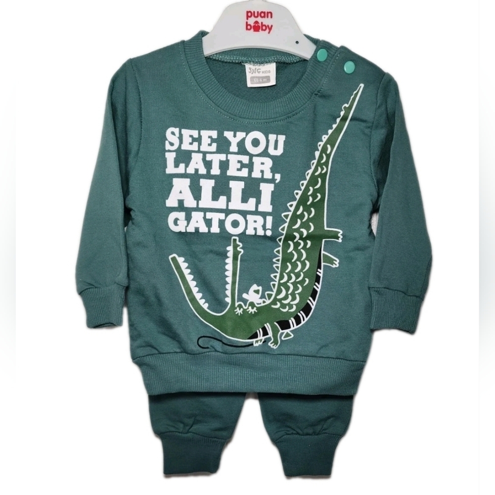 Baby Toddler 2 Pieces Set Long Sleeve Sweatshirt w/Pants Size 3-6, 9-12 Months